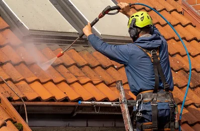 Démoussage et hydrofuge de toiture à Lissac